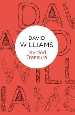 Divided Treasure - David Williams - cover