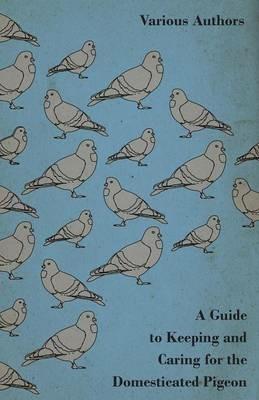 A Guide to Keeping and Caring for the Domesticated Pigeon - Various - cover