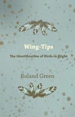 Wing-Tips - The Identification of Birds in Flight