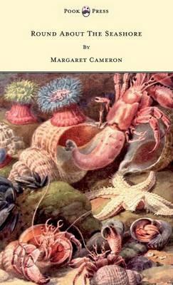 Round About The Seashore - With Eight Coloured Pictures - Margaret Cameron - cover