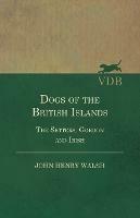 Dogs Of The British Islands. The Setters.Gordon And Irish. - "Stonehenge" - cover