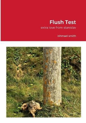 Flush Test: extra love from stanislav - Ishmael Smith - cover