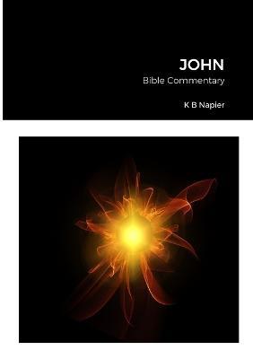 John: Bib le Commentary - K B Napier - cover