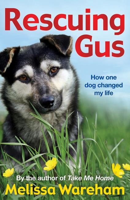 Rescuing Gus - Melissa Wareham - ebook