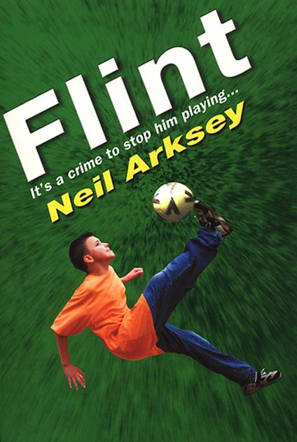 Flint - Neil Arksey - ebook