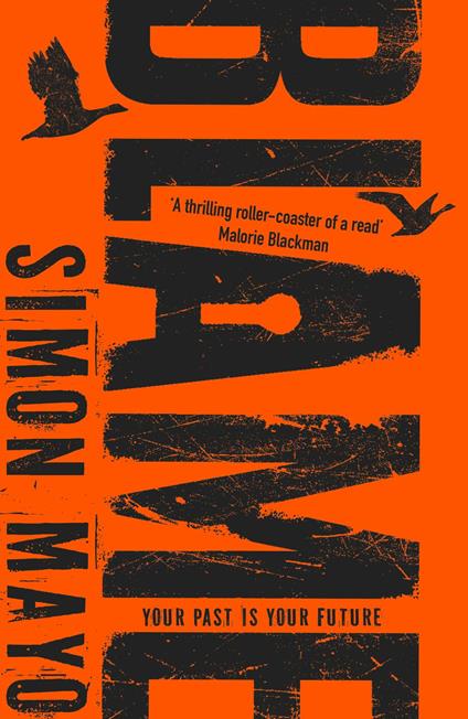 Blame - Simon Mayo - ebook