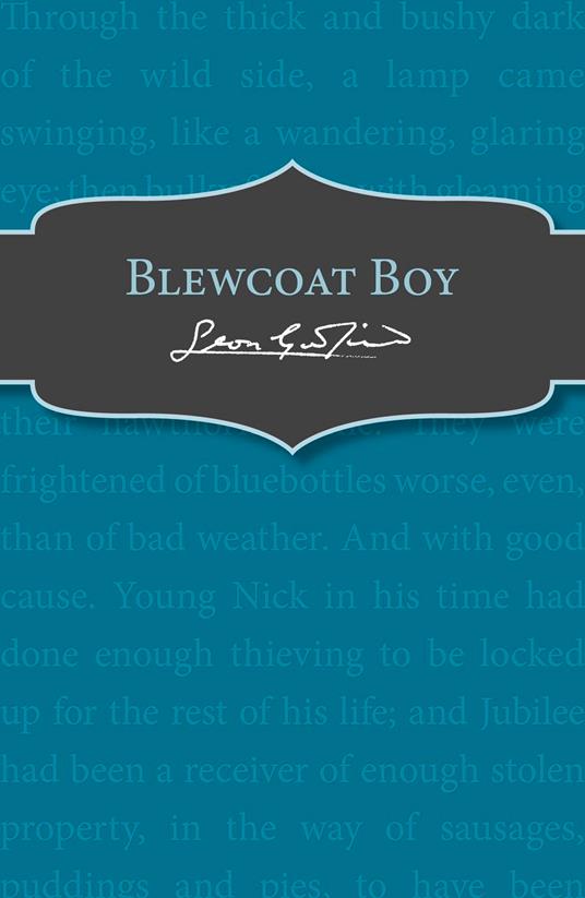 Blewcoat Boy - Leon Garfield - ebook