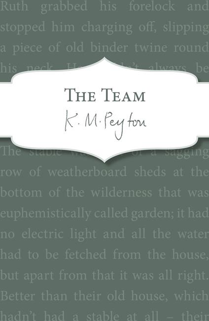 The Team - K M Peyton - ebook