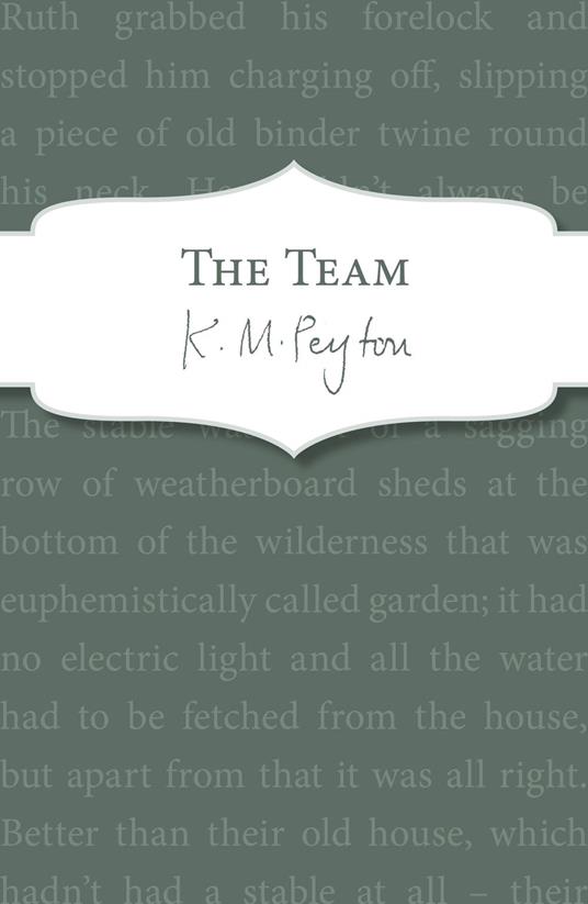 The Team - K M Peyton - ebook