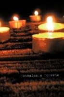 Convalesce Convene - Adam Shove - cover