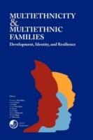 Multiethnicity and Multiethnic Families - Lsi,Ontai Kehl McCubbin,Strom Hart McCubbin - cover