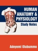 Human Anatomy and Physiology: Study Notes - Adeyemi Olubummo - cover