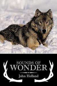 Sounds of Wonder - John Holland - cover