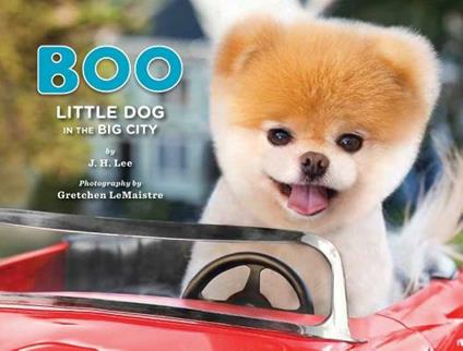Boo: Little Dog in the Big City - cover