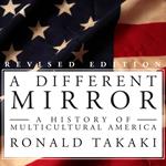 A Different Mirror