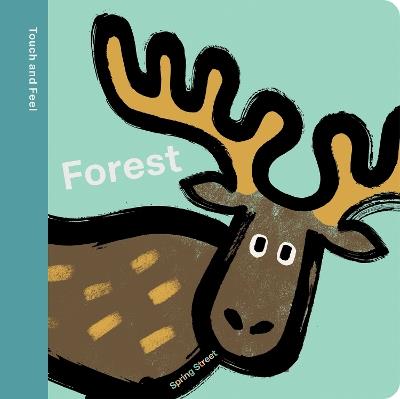 Spring Street Touch and Feel: Forest - Boxer Books - cover