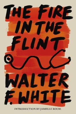 The Fire in the Flint - Walter F. White - cover