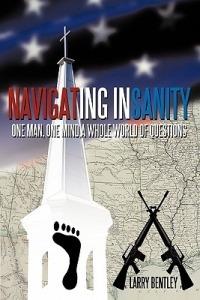 Navigating Insanity: One Man, One Mind, a Whole World of Questions - Larry Bentley - cover