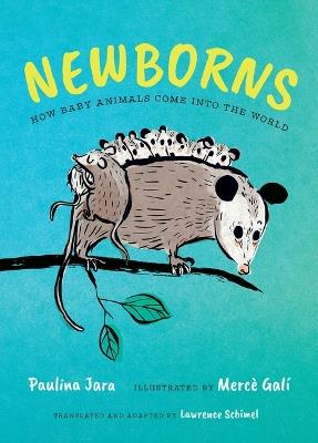 Newborns: How Baby Animals Come Into the World - Paulina Jara - cover