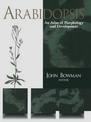 Arabidopsis: An Atlas of Morphology and Development - cover