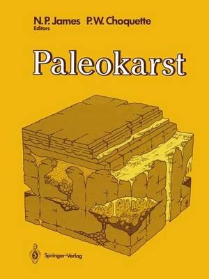 Paleokarst - cover