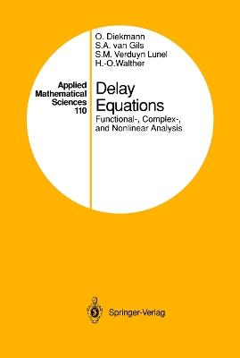 Delay Equations: Functional-, Complex-, and Nonlinear Analysis - Odo Diekmann,Stephan A.van Gils,Sjoerd M.V. Lunel - cover