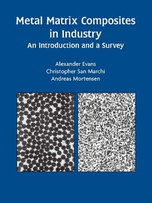 Metal Matrix Composites in Industry: An Introduction and a Survey - Alexander Evans,Christopher San Marchi,Andreas Mortensen - cover