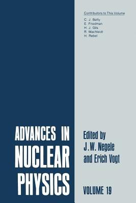 Advances in Nuclear Physics: Volume 19 - cover