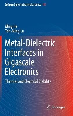 Metal-Dielectric Interfaces in Gigascale Electronics: Thermal and Electrical Stability - Ming He,Toh-Ming Lu - cover