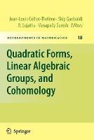 Quadratic Forms, Linear Algebraic Groups, and Cohomology - cover