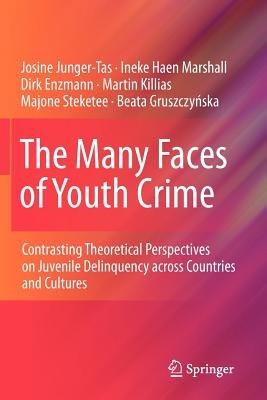 The Many Faces of Youth Crime: Contrasting Theoretical Perspectives on Juvenile Delinquency across Countries and Cultures - Josine Junger-Tas,Ineke Haen Marshall,Dirk Enzmann - cover