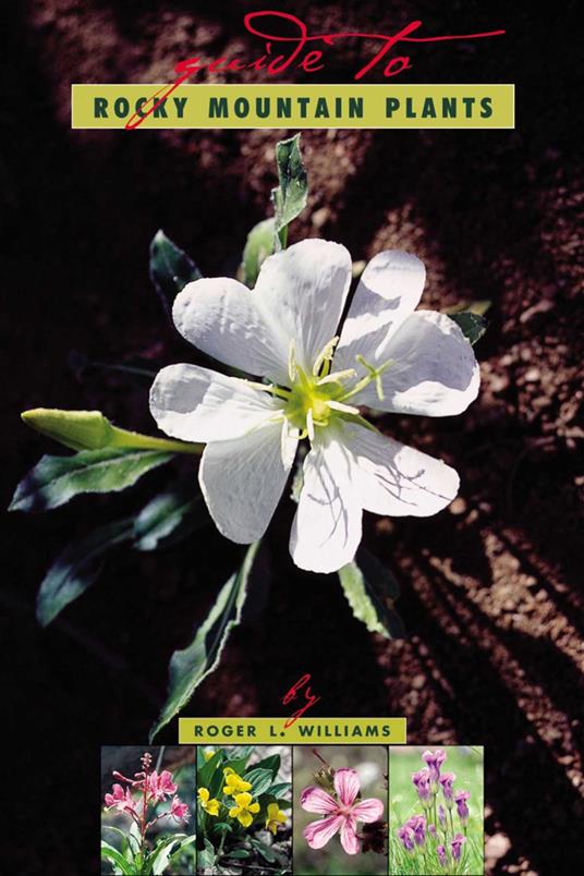 A Guide To Rocky Mountain Plants, Revised