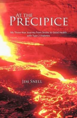 At the Precipice: My Three-Year Journey from Stroke to Good Health with Type 2 Diabetes - Jim Snell - cover