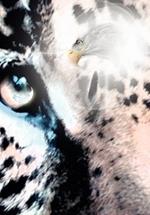 Cuauht Moc: Descendant of the Jaguar