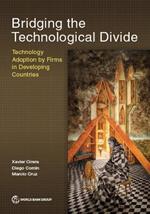 Bridging the Technological Divide: Technology Adoption by Firms in Developing Countries