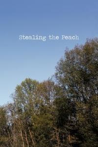 Stealing the Peach - Ethan McAnlis - cover