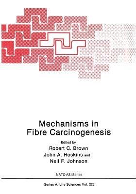 Mechanisms in Fibre Carcinogenesis - cover