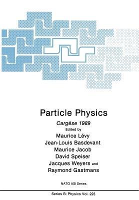 Particle Physics: Cargèse 1989 - cover