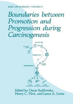 Boundaries between Promotion and Progression during Carcinogenesis - cover