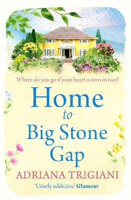Home to Big Stone Gap - Adriana Trigiani - cover