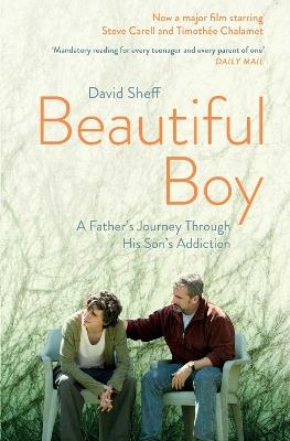 Beautiful Boy: A Father's Journey Through His Son's  Addiction - David Sheff - cover