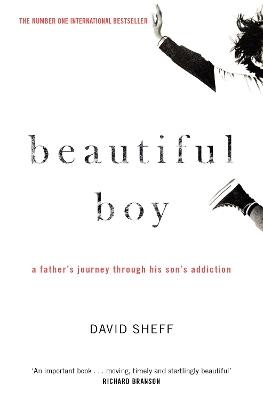 Beautiful Boy: A Father's Journey Through His Son's Addiction - David Sheff - cover