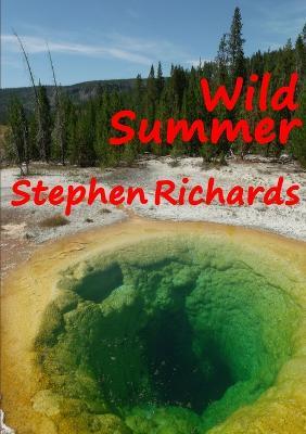 Wild Summer (Free Spirit Adventures : RV) - Stephen Richards - cover