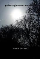 goddess carries sun enough - David C McLean - cover
