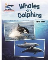 Reading Planet - Whales and Dolphins - White: Galaxy - Sarah Webb - cover