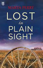 Lost in Plain Sight (Brotherhood of the Raven)