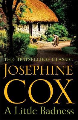 A Little Badness: An irresistible and wildly romantic saga - Josephine Cox - cover