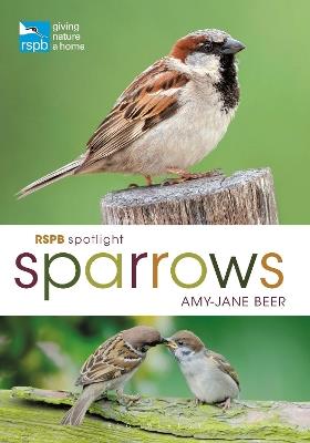 RSPB Spotlight Sparrows - Amy-Jane Beer - cover