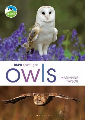 RSPB Spotlight Owls - Marianne Taylor - cover