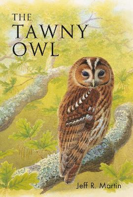 The Tawny Owl - Jeff Martin - cover